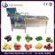 SUS304 stainless steel air bubble fruit washing machine