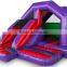 A Frame Front Slide Combo Inflatable Bouncy Castle With Slide Combo For kids Supplier