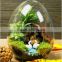 decorative flower pot glass