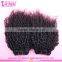 100 Indian human hair raw indian hair natural soft wholesale virgin Indian hair