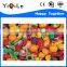Cheap children plastic fruit toy colorful preschool toys useful plastic toys for kids