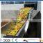 apple and pear fruits processing line