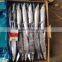Frozen Pacific Saury For Canned