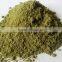 Pure moringa powder/High quality moringa for health benefits India origin/ spray dried powder