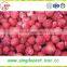 supply Bulk best quality Frozen IQF strawberry