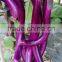 High Yield Hybrid purple red Long Eggplant Seeds chinese vegetable seeds for growing-No.7