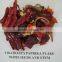 TianYing chili pepper