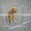 2016 pet supplies wholesale latest heavy duty outdoor chain link dog kennel large welded wire mesh dog backyard kennel factory