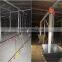 automatic chicken nipple drinking system for broiler