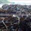 Dried Kelp/Laminaria/Kombu Seaweed Sheet(Whole Leaf) in Bulk