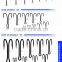 Fishing Hooks - Double