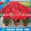 Movable metal greenhouse benches for sale