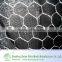 anping hexagonal mesh/hexagonal plastic mesh