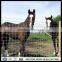 4ft fixed knot horse fence wholesales fence grssland cattle fence