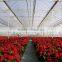 Greenhouse Plastic film for Agriculture