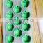 2015 Fruit Design Food Safety Factory Wholeseler 12 Holes Silicone Ice Tray