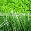 FIFA factory price pe material fake turf artificial grass lawn