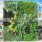 Shengjie factory artificial green wall plastic artificial plant wall wholesale artificial vertical plant wall