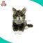 High quality long leg cat of plush big eyes cat toys