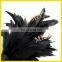 2015 hot sale black feather sex toy