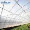 PE transparent plastic sheets greenhouse plastic film / agricultural polyethylene rolls