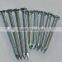 top selling galvanized or polished Concrete Nail China factory