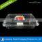 Hot selling environmentally blister plastic strawberry packaging with punching holes