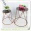 Set of 2 Newly Designed Decorative Metal Plant Stand