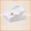 Disposable take out delivery pizza box for scooter