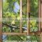 Hot economic UPVC fix window and double casement window with high quality/cheap price