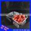 Shelf manufacturers of disposable plastic transparent green fruit crisper