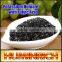 Relationship Between Root Growth And Fertilization Of Fruit Trees