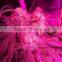 High Quality Full Spectrum LED Grow Lights 300W For US CA EU AU Market