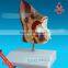 Biological Teaching Aids Anatomic Dog Ear Model