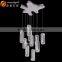 Stainless Steel Chandelier,fancy Lights for Home OM88565-10 Clear
