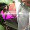 Low-iron Anti-reflective tempered float glass for solar panel