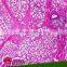 College and University Preparation Human Educational Pathology Slides