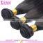 Factory supply virgin brazilian hair free sample to customers test quality virgin hair extensions free sample hair bundles