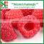 High Quality Frozen Raspberry Fruit/Whole Frozen Raspberry