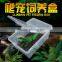 Jiaxing Nomo top quality breeding box reptile rack gecko for sale