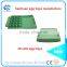 paper mold pulp egg tray packaging