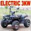 3000W Electric Quad 72V