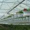 Single Span greenhouse film used in planting flowers, vegetables, fruits