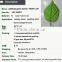 Best quality real touch Malin Leaf Simulation Leaves