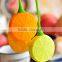 Food Grade Silicone Leaf Handle Lemon Tea Leaf Infuser For Loose Leaf Detox Tea/Weight Loss Tea/Slimming Tea