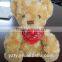 custom stuffed plush teddy bear with logo