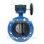 3" Ductile Iron Flange Type Butterfly Valve with worm gear actuator
