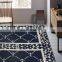 Large Rugs for Living Room Machine-Woven Mat