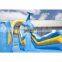 Dolphin Jumping Cartoon Inflatable Water Above Ground Bouncer Crazy Slide for Kids on Sale