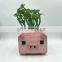 cute cheap indoor panda garden cartoon ceramic flower planters plant succulent  pots suppliers manufacturer